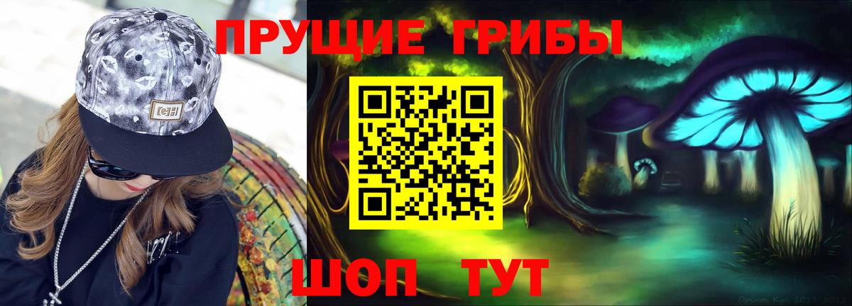 Псилоцибиновые грибы GOLDEN TEACHER  Галлюциногенные грибы ЛСД  Вход с VPN  Бердск 